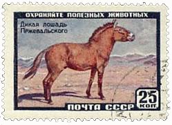 image004.jpg